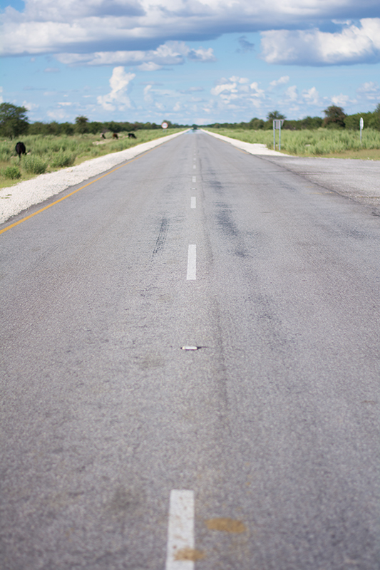 ナミビアの道