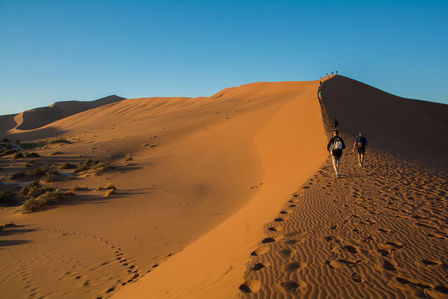 ナミブ砂漠